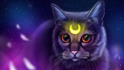 Кошки hd изображения: Скачать бесплатно в формате png
