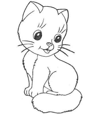 Рисунки кошек - скачать бесплатно в WEBP