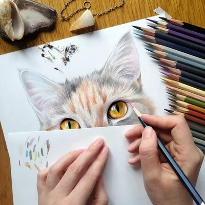 Кошки рисунки - доступные форматы изображений для скачивания