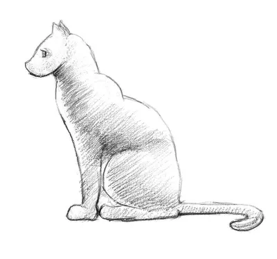 Рисунки кошек - скачать в WEBP для лучшей оптимизации
