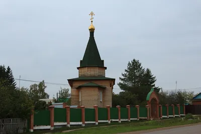 Веселые и задумчивые кошки самарской области на фото