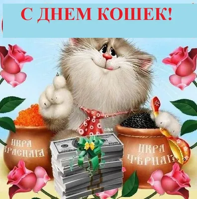 Изображения кошек: бесплатные фото в хорошем качестве