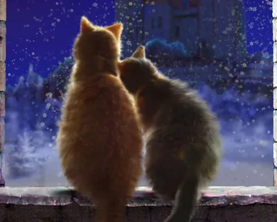 кошки зимой едят в снегу на улице Стоковое Изображение - изображение  насчитывающей ангстрома, шерсть: 225645445