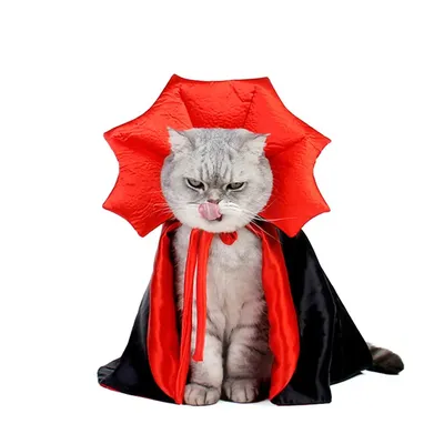 Костюм кошки на Хэллоуин: бесплатное скачивание в png формате