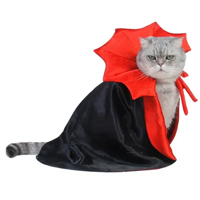 Костюм кошки на Хэллоуин: эффектные изображения в формате jpg