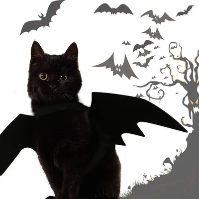 Изображение Костюм кошки на хэллоуин: стильный фон