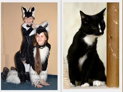 Фото костюма кошки на новый год в формате png для разных целей