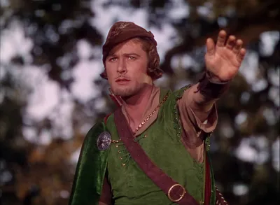 Славный парень Робин Гуд - самые известные кинообразы лесного разбойника и  немного исторических фактов | Кинодом | Дзен