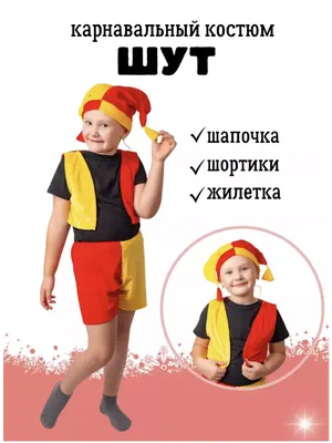 Карнавальный костюм Скоморох 3011 купить в Новосибирске - интернет магазин  Rich Family