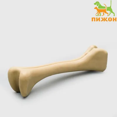 Косточки жевательные DENTAL, 12,5см, 100-110г (уп.2шт.) / лакомство для  собак Triol - купить с доставкой по выгодным ценам в интернет-магазине OZON  (373144069)