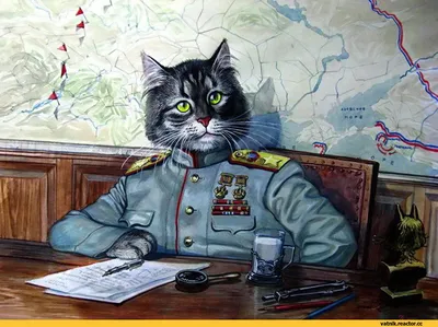 Кошка в военной форме - картинки и фото koshka.top