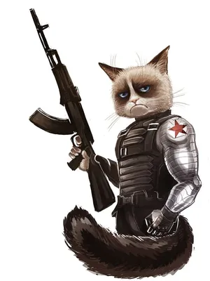 военный кот | Wallpapers.ai