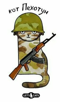 Купить Кот военный. | Skrami.ru