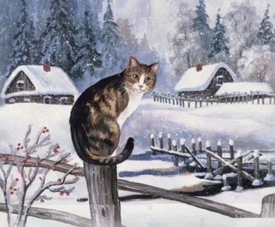 Зимний кот. Хотя скорее кошка #cat #winter #snow #snowdrift #кот #зима  #снег #сугроб | Pets, Animals, Cats