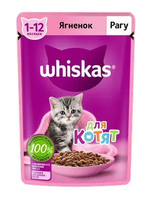 Royal Canin Kitten сухой корм для котят в период второй фазы роста до 12  месяцев - 1,2 кг - купить в Москве | КотМатрос