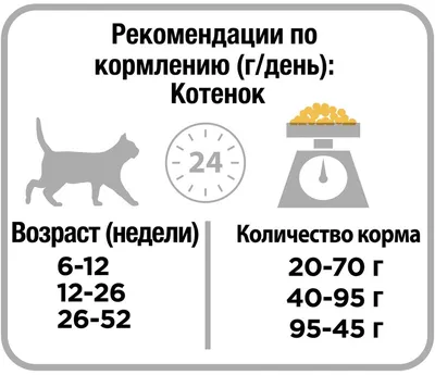 Как кормить котят? Советы, диета и рекомендации | Husse Украина
