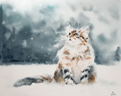 Котенок играет со снежками - фотография в хорошем качестве в формате jpg