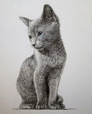 Картинки красивые нарисованные кошки (57 фото) - 57 фото