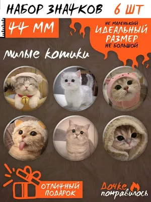 Вербные котики