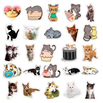 Фотообои Милые котики на стену. Купить фотообои Милые котики в  интернет-магазине WallArt