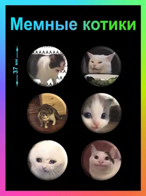 КОТИКИ (2023) - САМЫЙ ТРОГАТЕЛЬНЫЙ ФИЛЬМ О КОТАХ В ЭТОМ ГОДУ С 26 ОКТЯБРЯ.  - YouTube