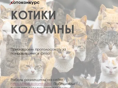 Почему котики правят миром или как очаровать работодателя — Work.ua