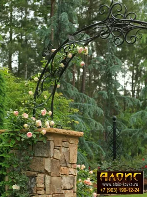 Кованые арки перголы для сада, цветов, винограда. Арки для свадьбы. Арки  над воротами Фото.