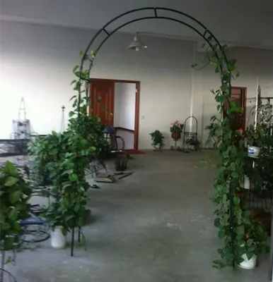 Кованые арки и перголы для сада | Кованые арки для свадьбы