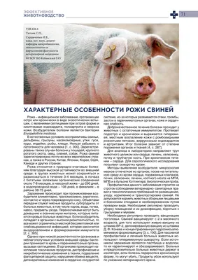 Заразные болезни свиней