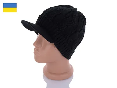 Скляний козирок м. Київ (приватний будинок)