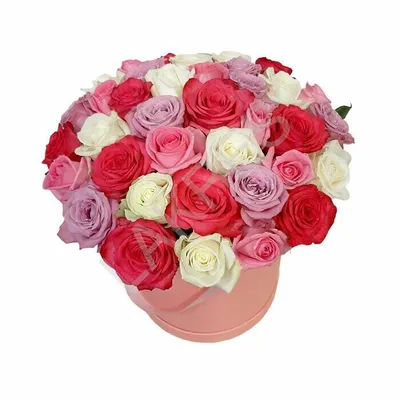 Букет из 25 роз Кения микс \"Радужные розы\" – купить недорого с доставкой по  Москве