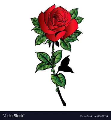 Красивая красная роза — Fokart.net