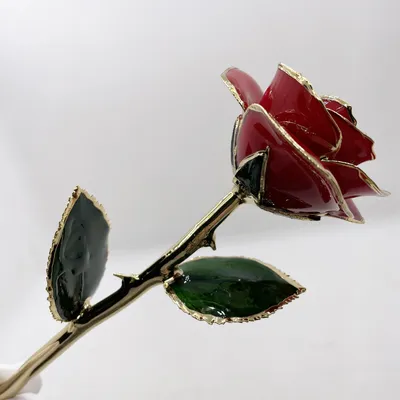 Красная роза рисунок - 50 фото