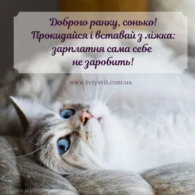 Соломія Українець - ДОБРОГО ВАМ РАНКУ🙂 Вам вітання: щирі, вперті,  доброзичливі, відверті, добрі, милі, працьовиті, як один - талановиті.  Відчайдушні і сміливі, щедрі, мудрі і красиві. Гонорові, балакучі, всі  веселі і співучі,