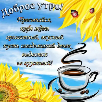 Побажання гарного дня в картинках, своїми словами, у віршах, в смс та  християнські побажання доброго дня — Укрaїнa