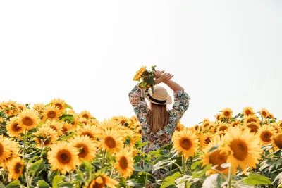 Фотосессия в подсолнухах | Fotografía de girasol, Fotos girasoles, Girasoles