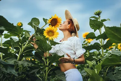 Фото с подсолнухами | Фотографии подсолнечника, Подсолнухи, Летние  фотосессии