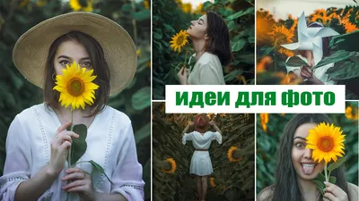 Места для красивых фото под Новосибирском, поля с подсолнухами в  Новосибирске - 19 августа 2022 - НГС