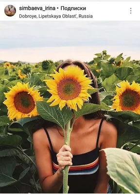 women outdoors, women, sunflowers, field, hat, flowers, plants | 2000x1125  Wallpaper - wallhaven.cc