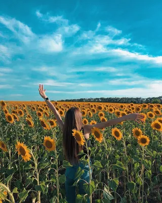 Пин от пользователя Yuliya Rakitina на доске Подсолнух | Фотография на  природе, Летние фотографии, Модная фотография на природе