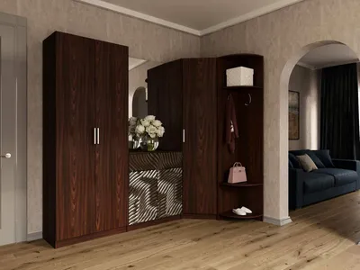 Дизайн прихожей в современном стиле, фото интерьеров квартир