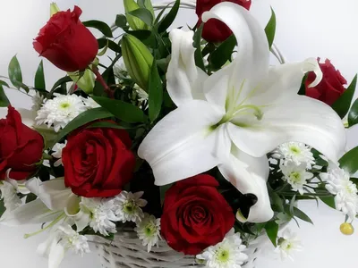 Купить цветы |Букет из лилий и гипсофилы с доставкой в Щёлково|Lilium