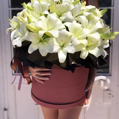 Белые лилии - купить в Москве букет из белых лилий с доставкой в  VioletFlowers