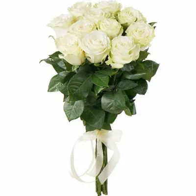 Красивый букет белых роз - красивые фото