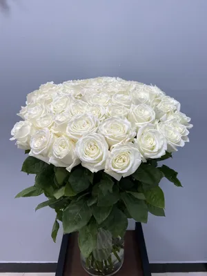 красивые белые розы в ладони Стоковое Изображение - изображение  насчитывающей красивейшее, лучше: 269412219