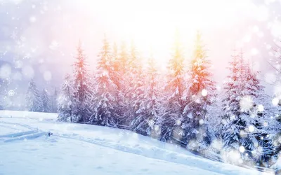 Winter Sparkle Wallpapers - Wallpaper Cave