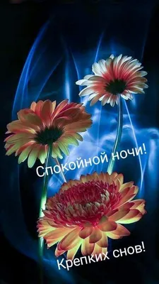 Красивая открытка спокойной ночи женщине — Slide-Life.ru