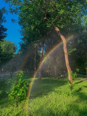 Радуга эстетика парк природа | Пейзажи, Летние фотографии природы, Природа