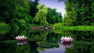 Красивые картинки Лето (44 фото)