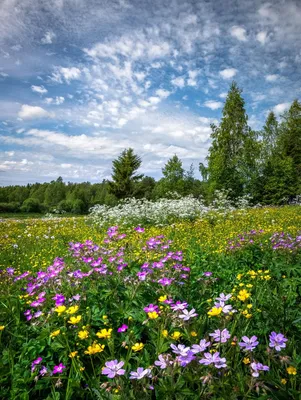 Вы тоже ждёте лето! / река :: пейзаж :: Природа (красивые фото природы:  моря, озера, леса) :: мотоцикл :: лето / смешные картинки и другие приколы:  комиксы, гиф анимация, видео, лучший интеллектуальный юмор.